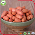 Shandong China Red Peanut Kernels